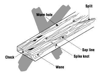Scaffold Planks